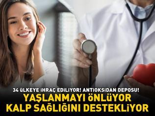 34 ülkeye ihraç ediliyor Antioksidan deposu Beta-karoten, E vitamini ve polifenoller ile yaşlanmayı önlüyor, kalp sağlığını destekliyor