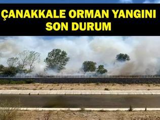 ÇANAKKALE ORMAN YANGINI SON DAKİKA: Çanakkale Orman Yangını Kontrol Altına Alındı Mı, Söndürüldü Mü Son Durum Ne