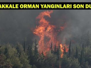 ÇANAKKALE ORMAN YANGINI SON DURUM 12 AĞUSTOS: Çanakkale Kepez, Ayvacık, Çınarlı yangını söndürüldü mü, kontrol altına alındı mı