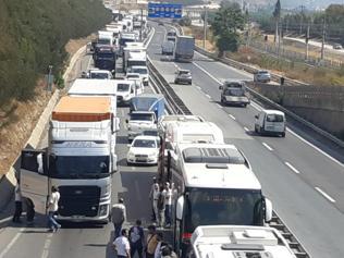SON DAKİKA... Kocaelinde TIR devrildi: Yol ulaşıma kapandı