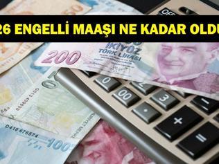 Engelli Aylıkları Ocak 2026 Zammı: Ocak 2026 Engelli Maaşı Ne Kadar Oldu TÜİK Enflasyon Verileriyle Yüzde 40-69 ve %70 Üzeri İçin Yeni Rakamlar