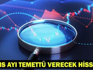 MAYIS AYI TEMETTÜ VERECEK HİSSELER 2026: Hangi şirket ne zaman ve ne kadar temettü verecek