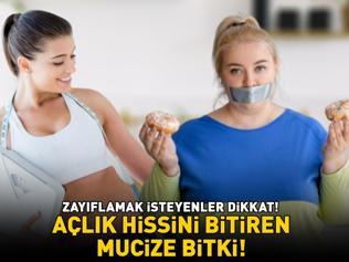 Zayıflamak İsteyenler Buraya Açlık Hissini Bitiren Mucize Bitki Sirke Ve Chia Tohumunu Tahtından Etti
