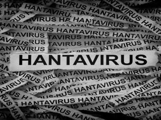HANTAVİRÜS NEDİR, NASIL BULAŞIR Hantavirüs Belirtileri Neler Hantavirüs İnsandan İnsana Bulaşır Mı Dünya Sağlık Örgütü Ne Diyor