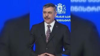 11 suçlu Gürcistan’dan Türkiyeye iade edildi