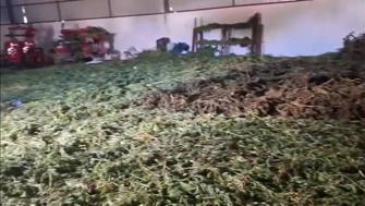 Diyarbakırda 2,2 ton uyuşturucu ele geçirildi