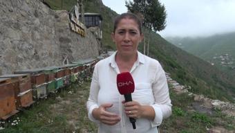 Sahte anzer balına dikkat