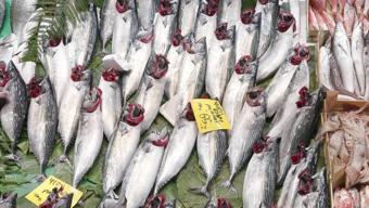 Balık tezgahında fiyatlar nasıl