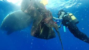 Muğlada 150 noktada denizdeki hayalet ağ temizlendi