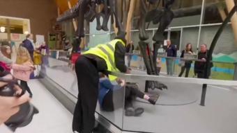 Bu kez hedefleri dinozor kemikleri oldu