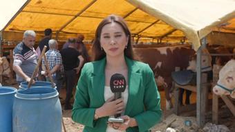 Kurban pazarlarında son durum ne