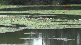 Tunca Nehrinde kirlilik alarmı