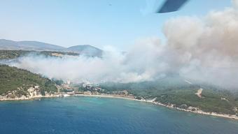 İzmirde orman yangını