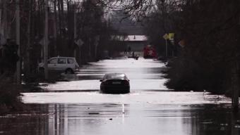 Rusya’da sel: 2 bin 500 ev, 700 kişi tahliye edildi