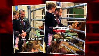 ‘Kızıl İnek Kehaneti’ neden gündemde