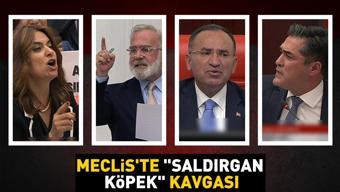 Video Haber | Mecliste saldırgan köpek kavgası