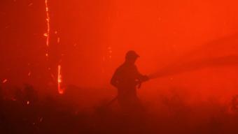 Video Haber | Türkiye yangınlar ile mücadele ediyor Bölgelerde son durum...