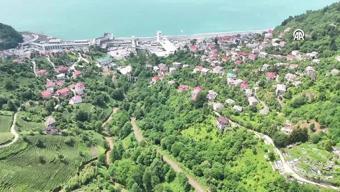İkiye bölünen köy: Sarp
