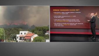 Orman yangınlarının %89’u insan kaynaklı: CEZALAR NE KADAR