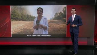 CNN TÜRK bölgede: Şarköydeki yangına müdahale sürüyor