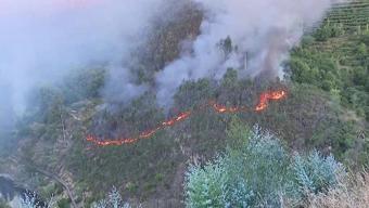 Portekizde yangınlarla mücadele