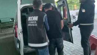 Kurgu kazalarla sigorta dolandırıcılığı 24 şüpheli tutuklandı