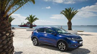 Küllerinden doğuyor