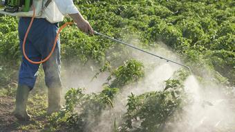 Sebze ve meyvelerdeki ilaç kalıntılarından kurtulun