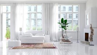 Evinizdeki havayı temizleyen 3 bitki