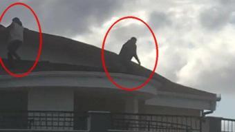 Aydında hareketli dakikalar Jandarmayı görünce çatıya çıktılar