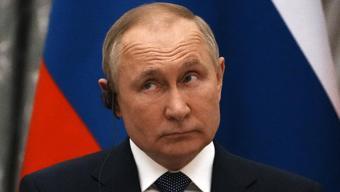 Putin dedikoduları: Siyah kurt kurban edildi