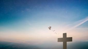 Haç İşareti Nedir, Nasıl Yapılır Klavyede Haç İşareti Kısayolu...