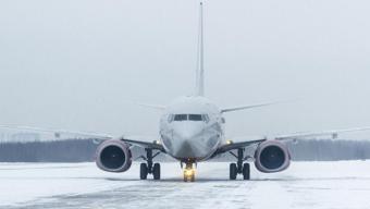 Uçak seferleri iptal mi 19 Mart THY, Pegasus iptal olan uçak seferleri sorgulama (Sabiha Gökçen Havalimanı, İstanbul Havalimanı)