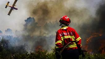 Avrupa’da kırmızı alarm Aşırı sıcak ormanları yakıyor