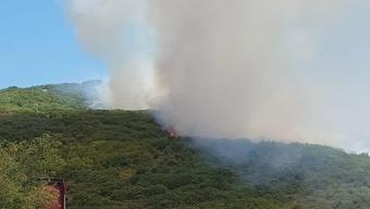 Tekirdağda korkutan yangın 5 hektar alan yandı