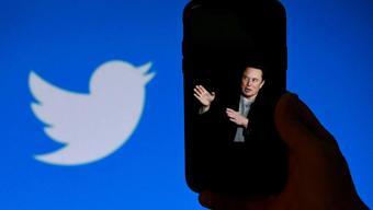 Elon Musktan genel af anketi: Twitterda askıya alınan hesaplar geri dönebilir