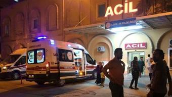 Kızıltepe’de sokak köpeklerinin saldırısına uğrayan Deniz yaralandı
