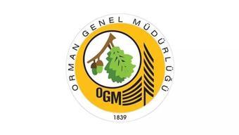 Orman Genel Müdürlüğü (OGM) personel alımı başvuruları ne zaman OGM orman muhafaza memuru alımı şartları ve tarihi 2023