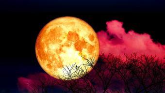 Dolunay ne zaman, hangi tarihte gerçekleşecek Mart ayı dolunay ve yeni ay tarihi 2023