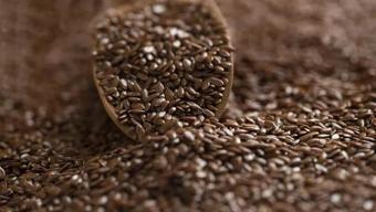 Balıktan 7 bin kat daha fazla omega-3 içeriyor