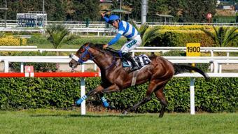 97. Gazi Koşusunun şampiyonu Urfa Aslanı ile Mehmet Kaya oldu