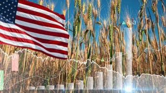 ABD açıkladı: Küresel gıda krizi için 100 milyon dolarlık destek