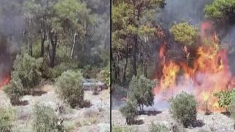 Sabotaj mı var Muğladaki yangının çıkış anı ortaya çıktı