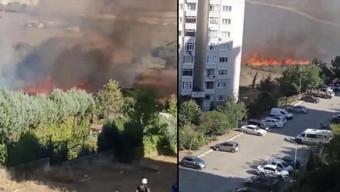 Tuzlada orman yangını: Alevler hızla yayıldı