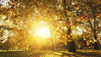 Sıcaklar artmaya devam edecek