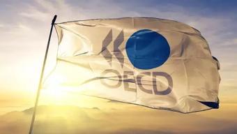 OECD bölgesi ılımlı büyüdü