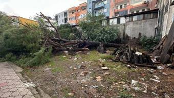 Muğlada hortum çatıları uçurdu, ağaç ve direkleri devirdi