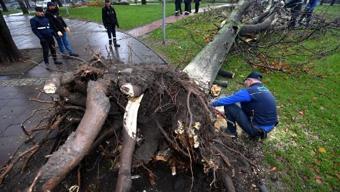 Osmangazi Belediyesinde, lodos ve sel mesaisi