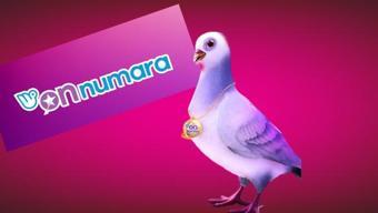 On Numara 25 Aralık 2023 çekilişi Bugün On Numara sonuçları millipiyangoonline.comda