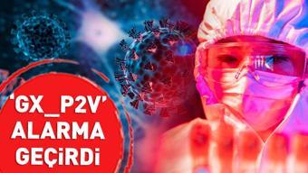 Koronavirüs çalışması bilim dünyasını ayağa kaldırdı Yüzde 100 ölümcül… “Geç olmadan durdurulmalı”